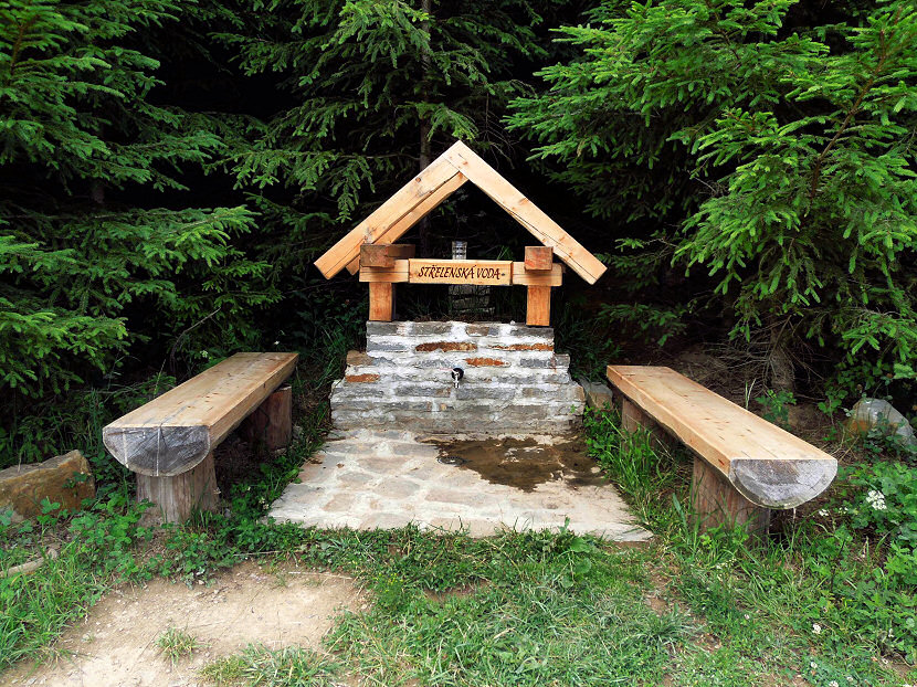 studánka Střelenská voda (5809)