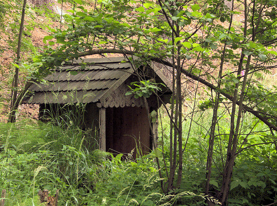 studánka Pod Bučinou (5810)