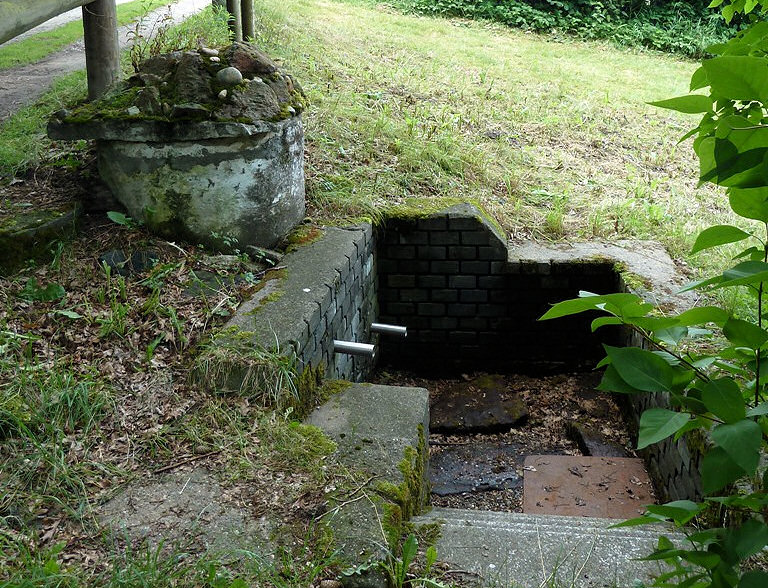 studánka bez jména (5811)