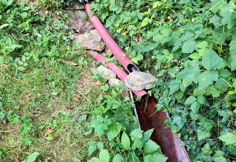 studánka bez jména (5812)