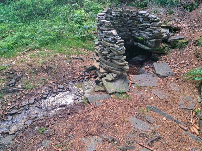 studánka Čertův mlýn (5816)