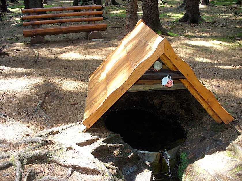 Stříbrná studánka (5831)