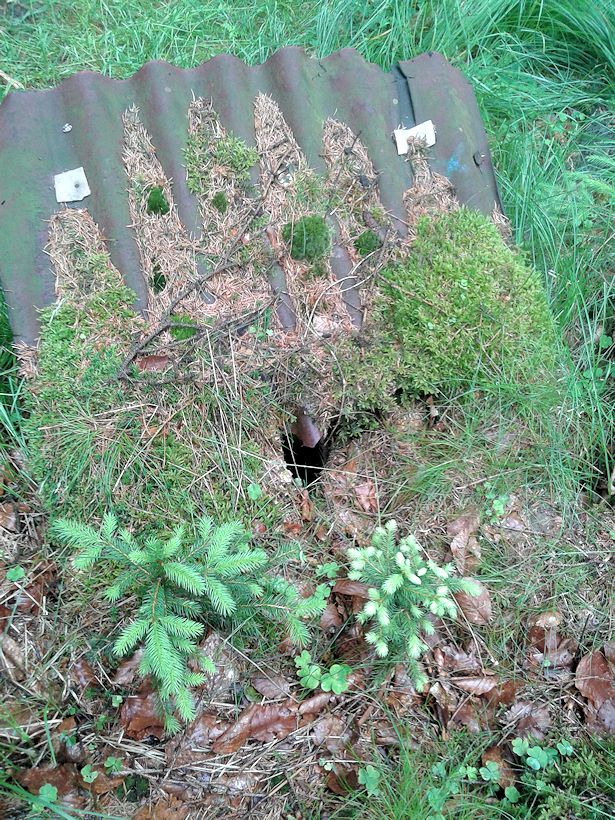 studánka bez jména (5836)