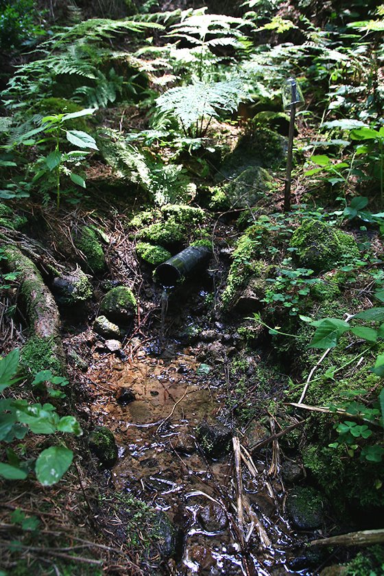 studánka Pod Slavickým kopcem II (5838)