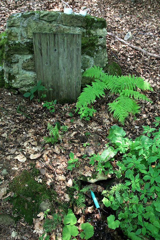 studánka Pod Horami (5839)
