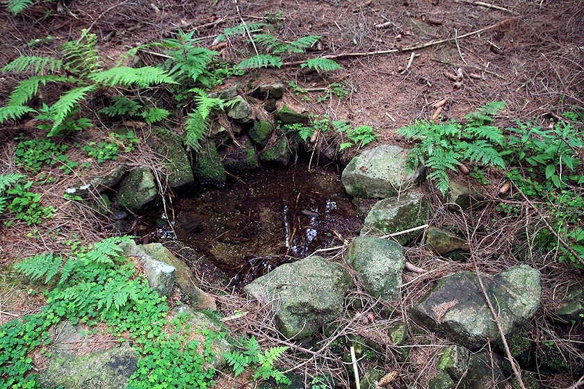 studánka Nad Muroňkou (5848)