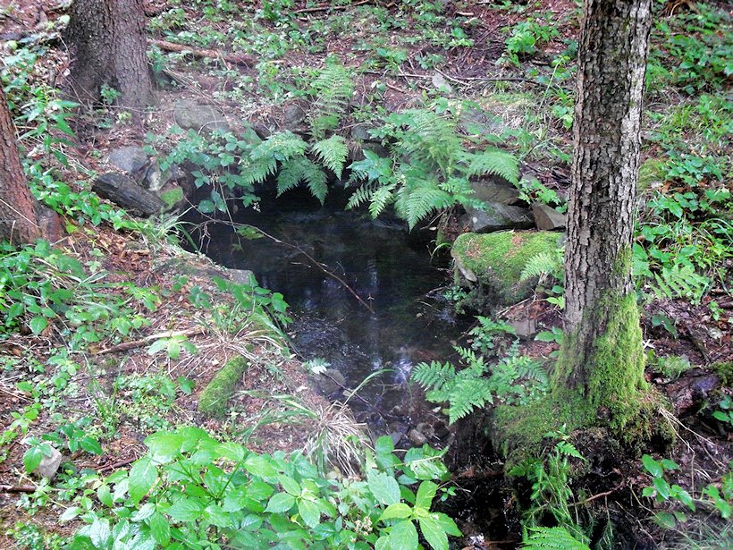 studánka Plavuňka (5850)
