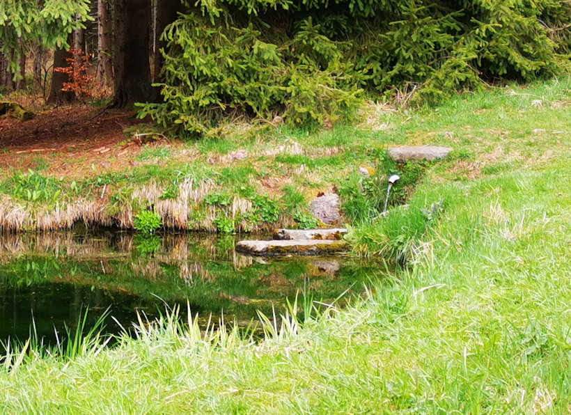 studánka Alpská vyhlídka (5858)