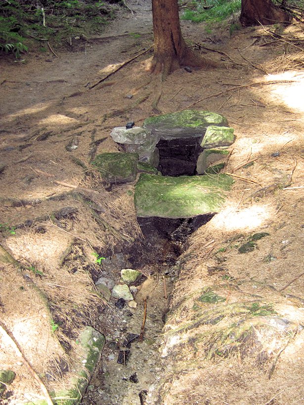 studánka Slavěna (5861)