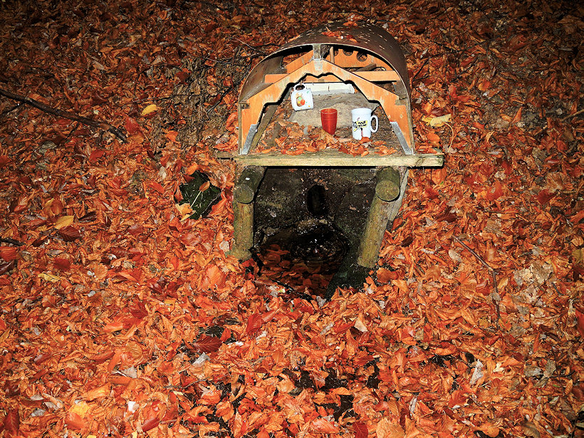 studánka U růrky (5862)