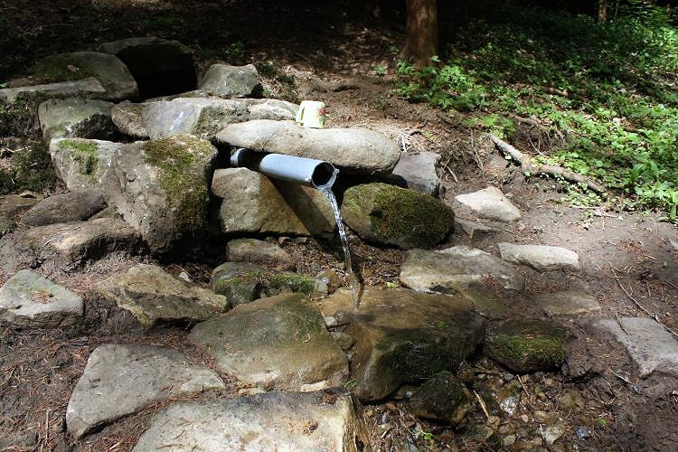 studánka Mechová (5868)