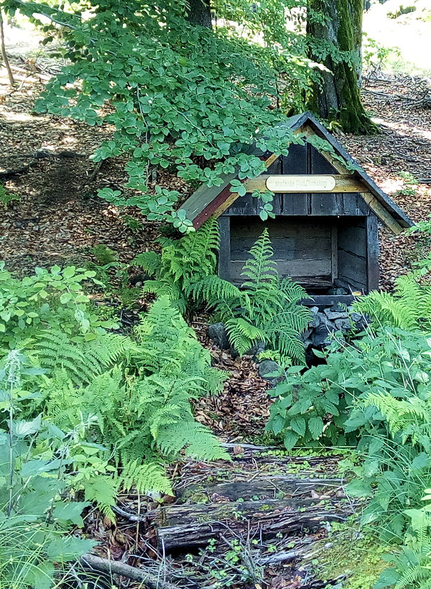 studánka Pod obrázkem (5876)