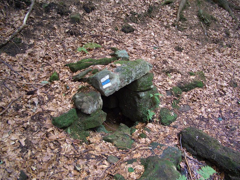 studánka Pod vysokým grúněm (5878)