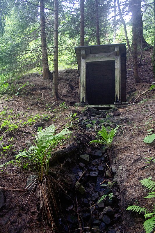 studánka bez jména (5884)
