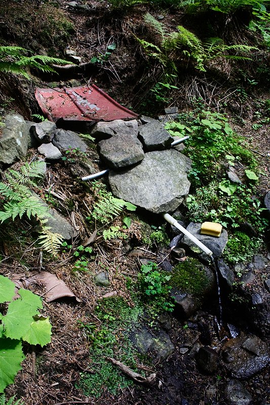 studánka bez jména (5885)
