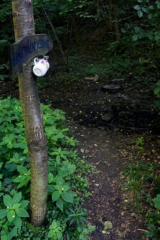 Sirná studánka Bič (5888)