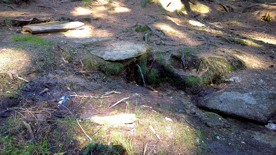 studánka U Jezírka (5889)
