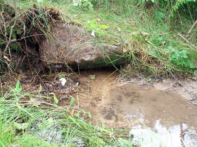 studánka Pod kamenem (5892)
