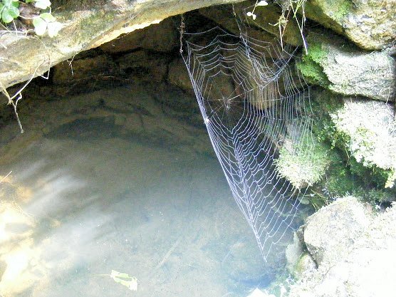 studánka Dušička (5896)