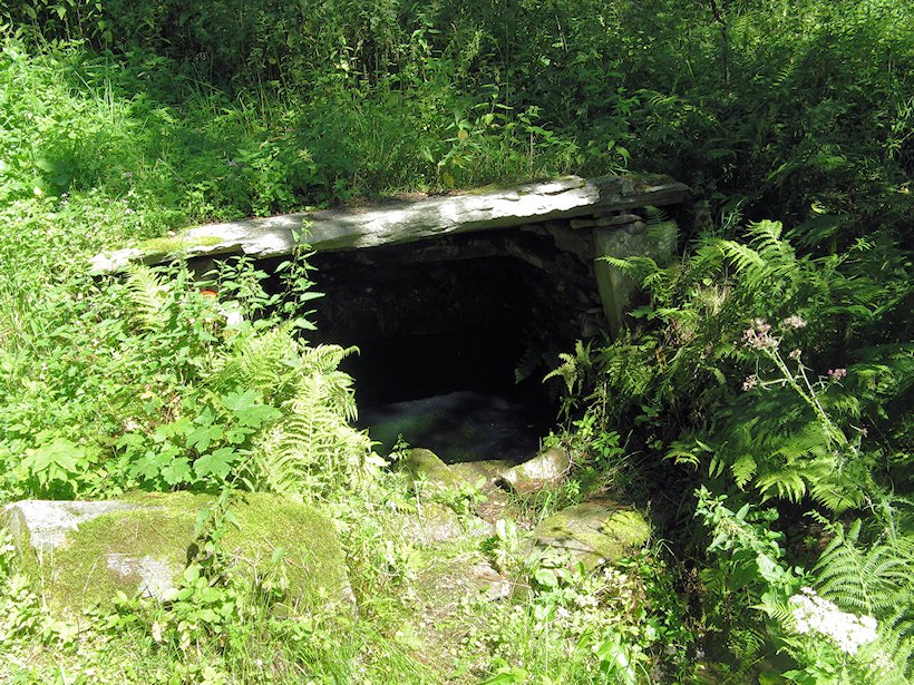 studánka pramen Zdíkovského potoka (5900)