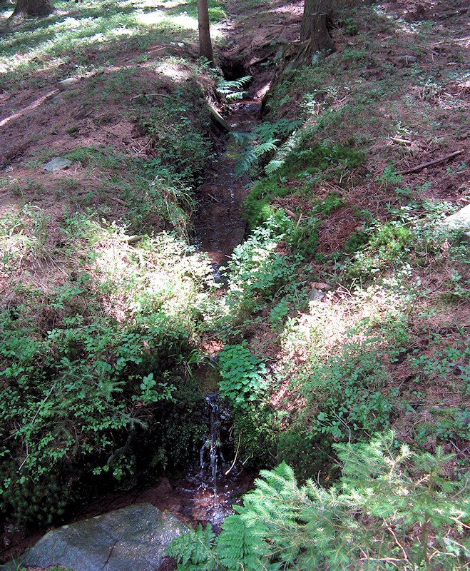 studánka pramen Zubčického potoka (5901)