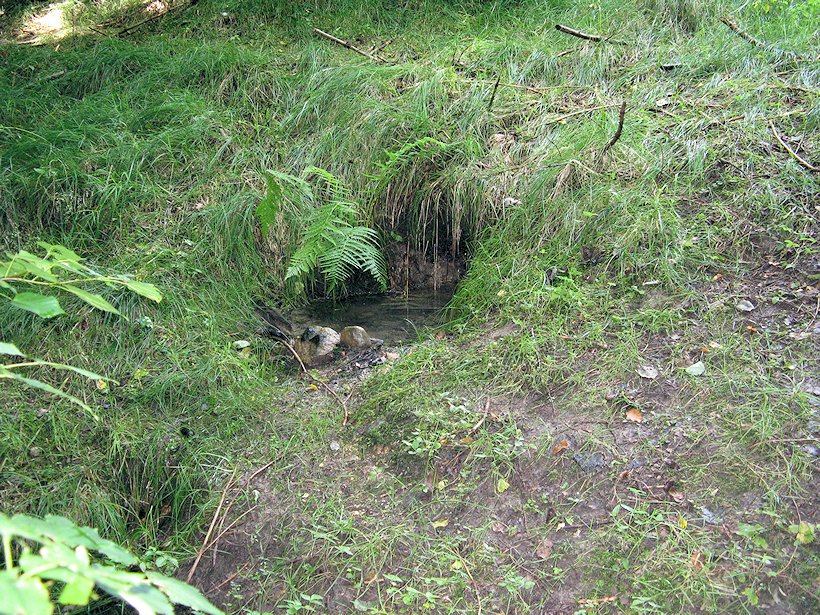 studánka U Jána (5903)