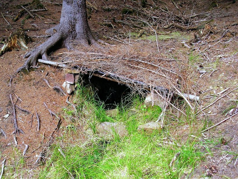 studánka bez jména (5905)