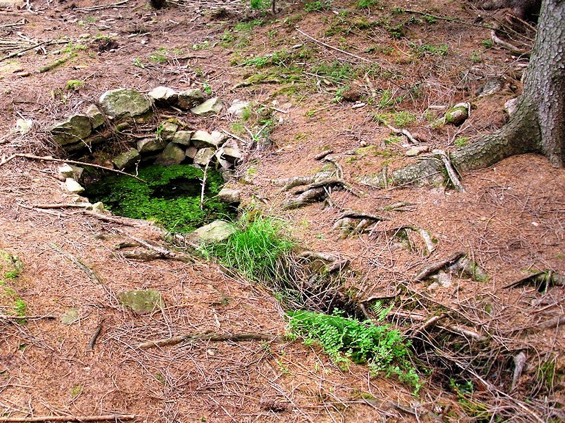 studánka bez jména (5909)