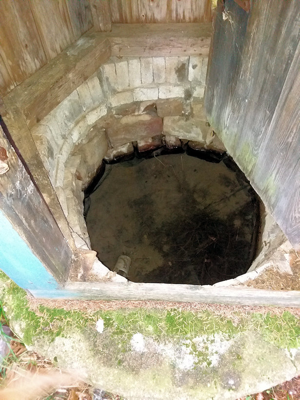 studánka bez jména (5912)