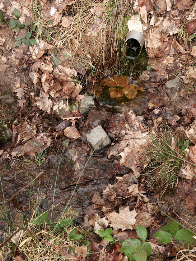 studánka Fléglova (5922)