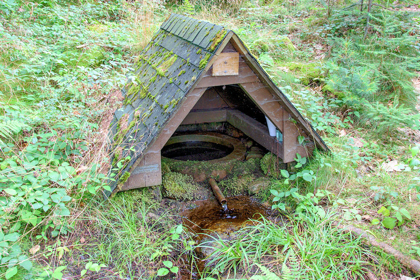 Kotkova studánka  (5923)