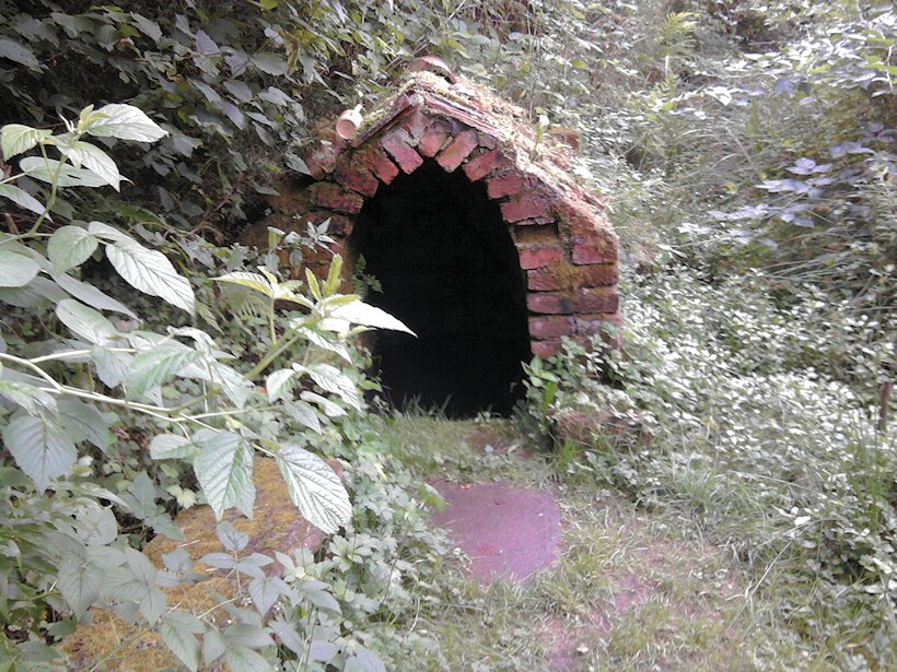 studánka U Rovínku (5924)