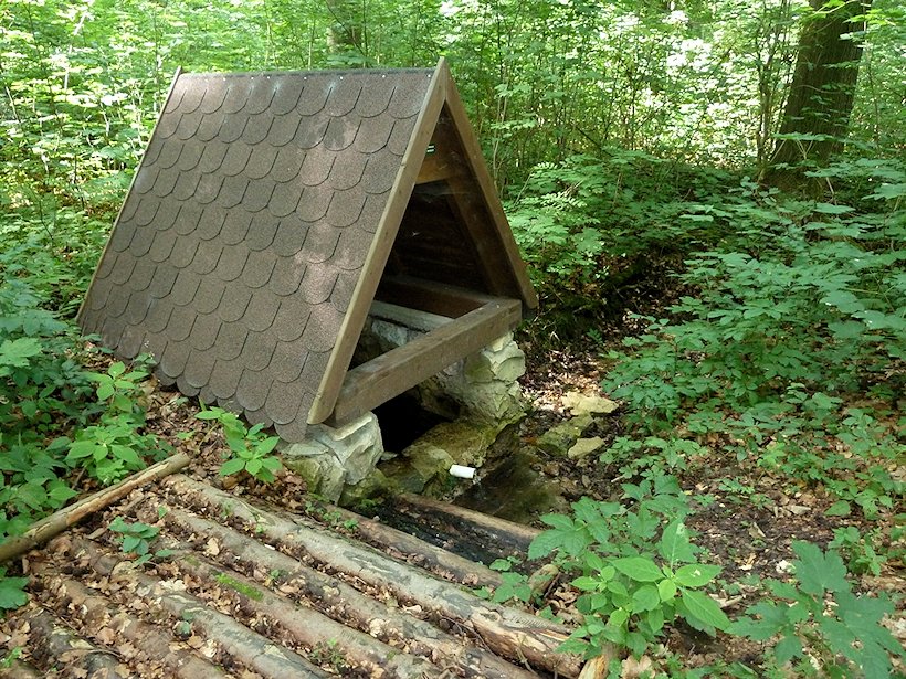 studánka bez jména (5932)