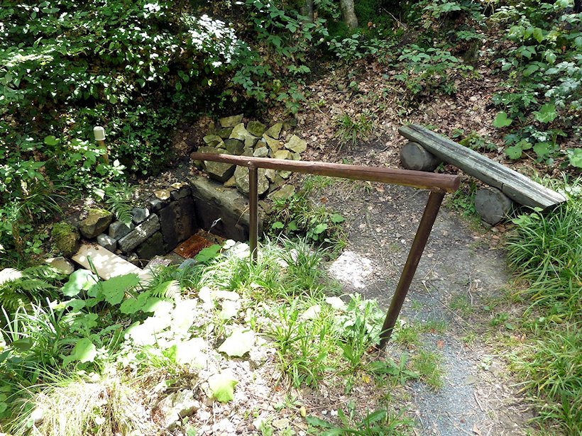 studánka Pod Pánovou loukou (5934)