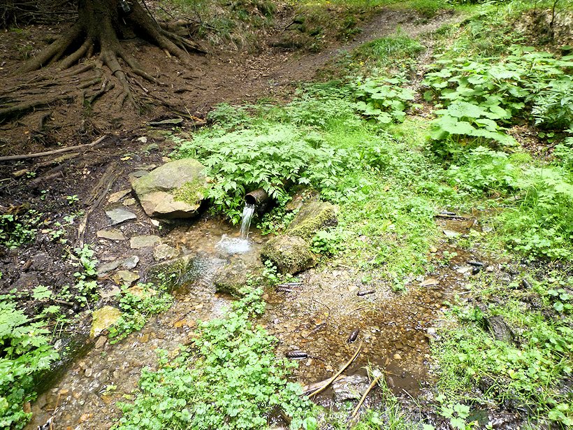studánka Pramen Dědiny (5935)