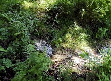 studánka Moravská Sázava (5937)