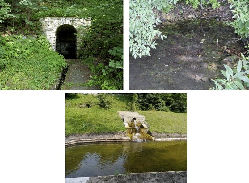 Trstěnické prameny (5939)