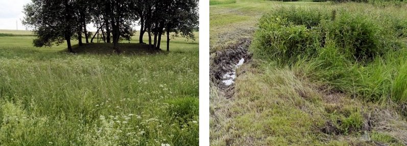 jiný vodní zdroj Šlapanka (5941)