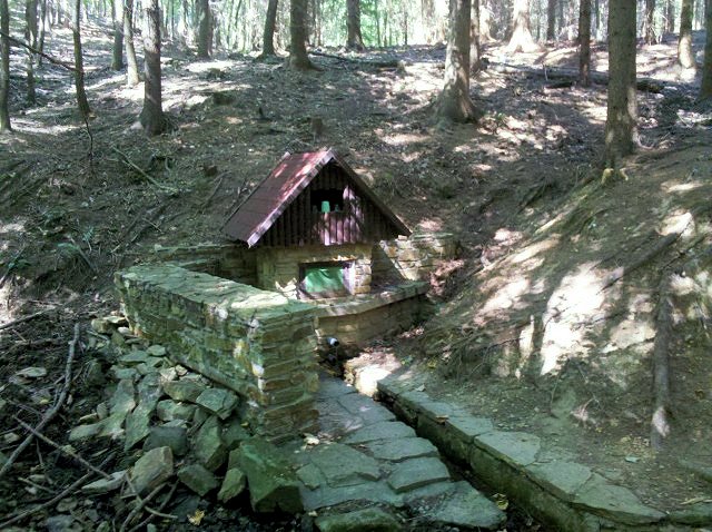 Fořtova studánka (5949)