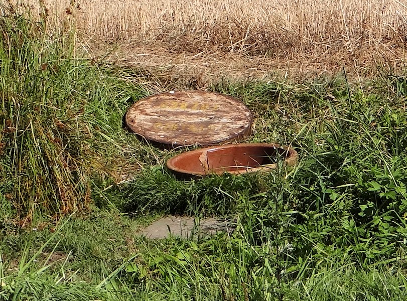 studánka Pod Hvězdou (5950)