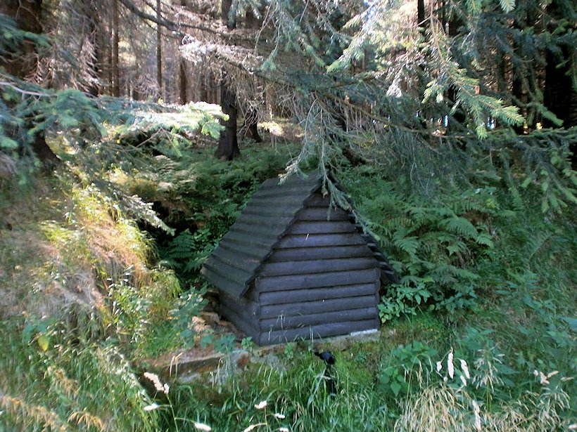 studánka bez jména (5963)