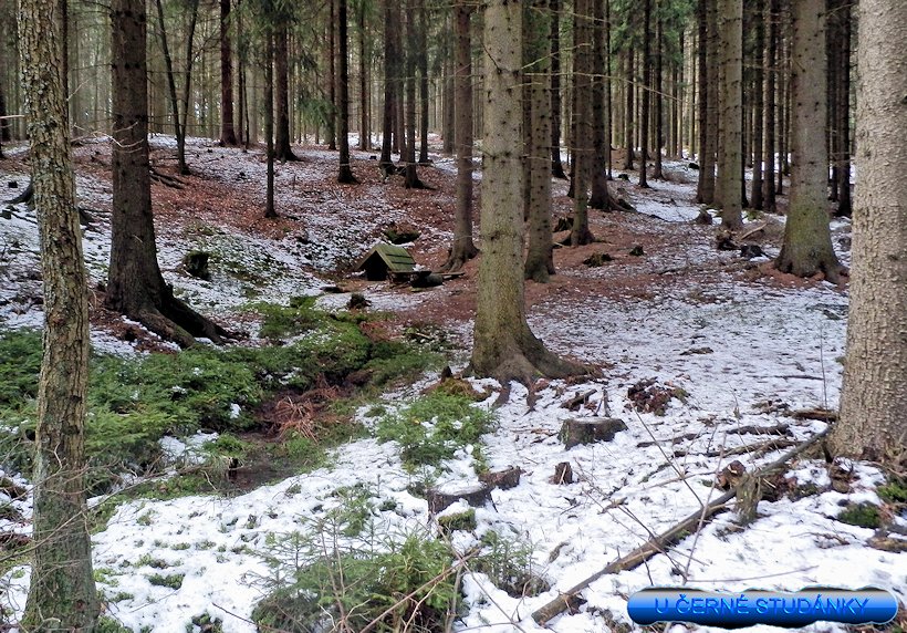 Černá studánka (5967)