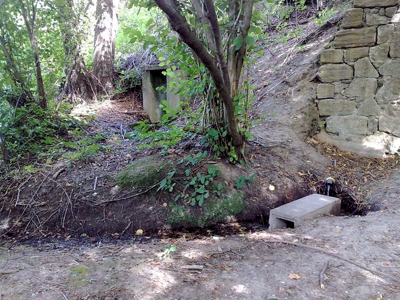 studánka Pod Lipkou 1 (5971)