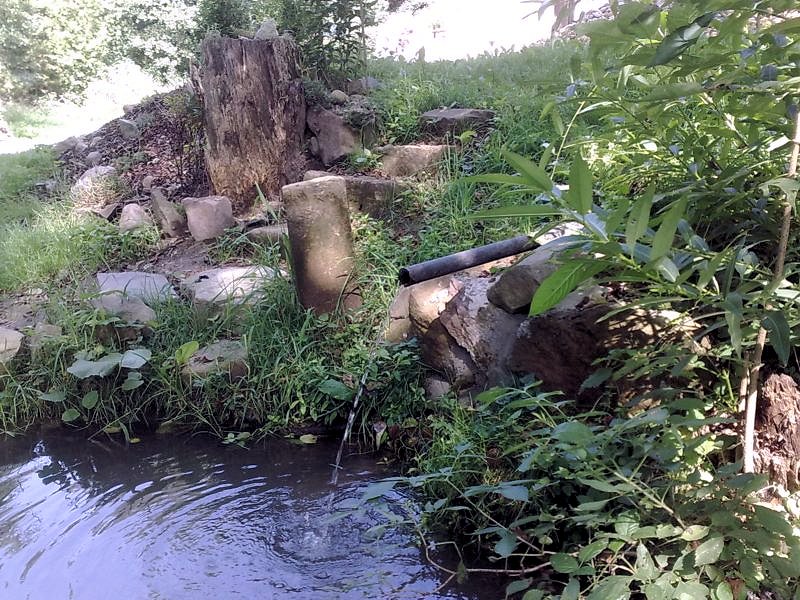 studánka Pod Lipkou 2 (5972)