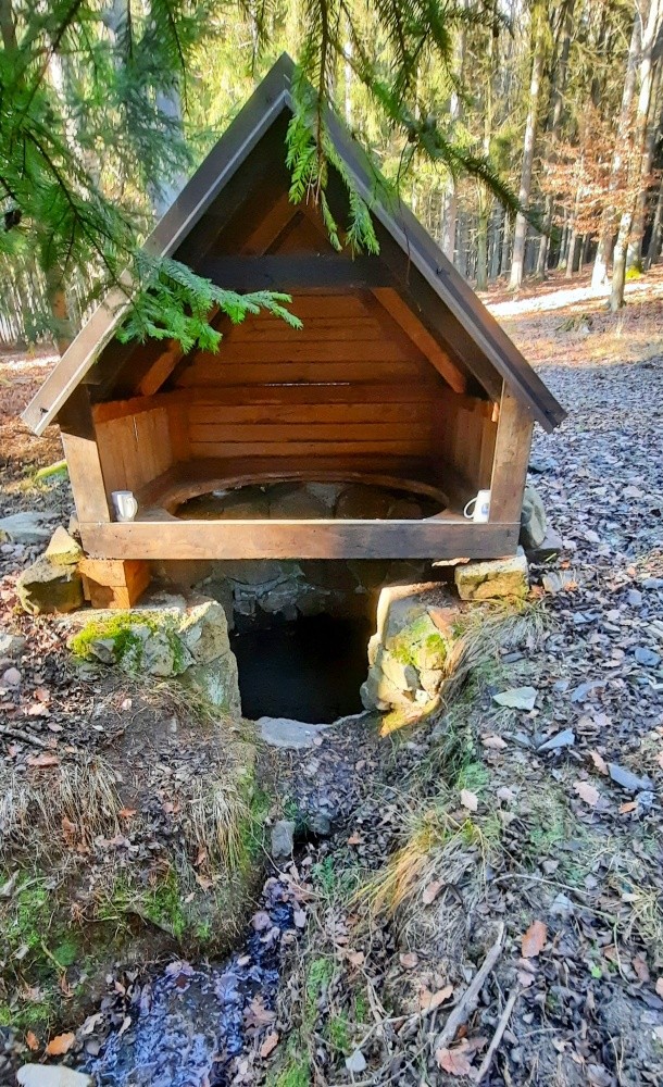 studánka Nad Kazatelnou (5976)