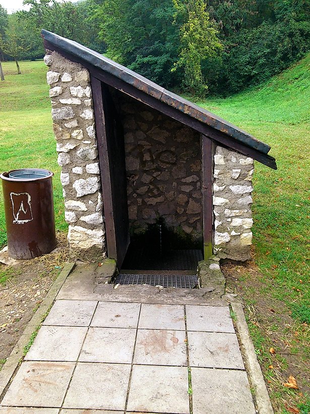 studánka bez jména (5978)