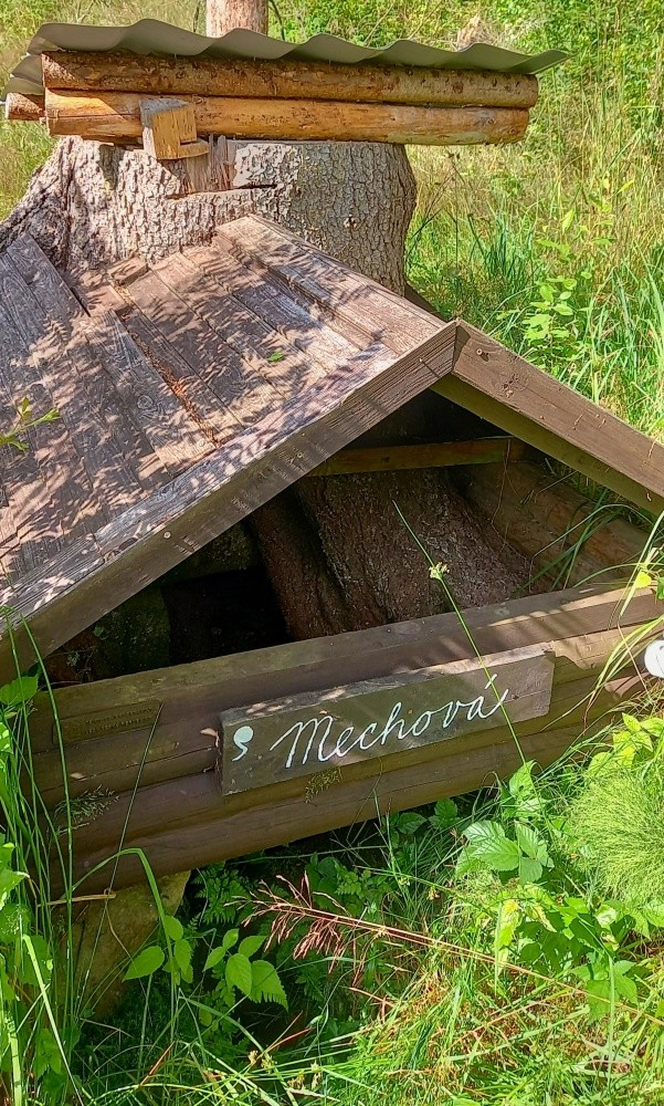Zelená studánka (5986)