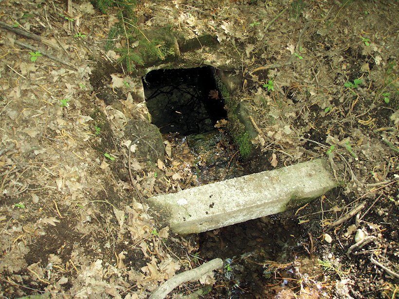 Homylská studánka (5990)