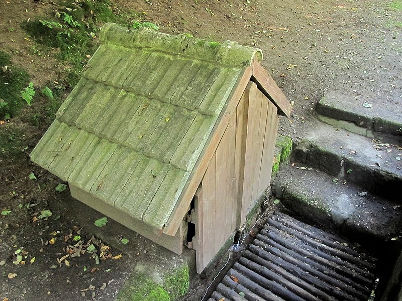 Tubožská studánka (5993)