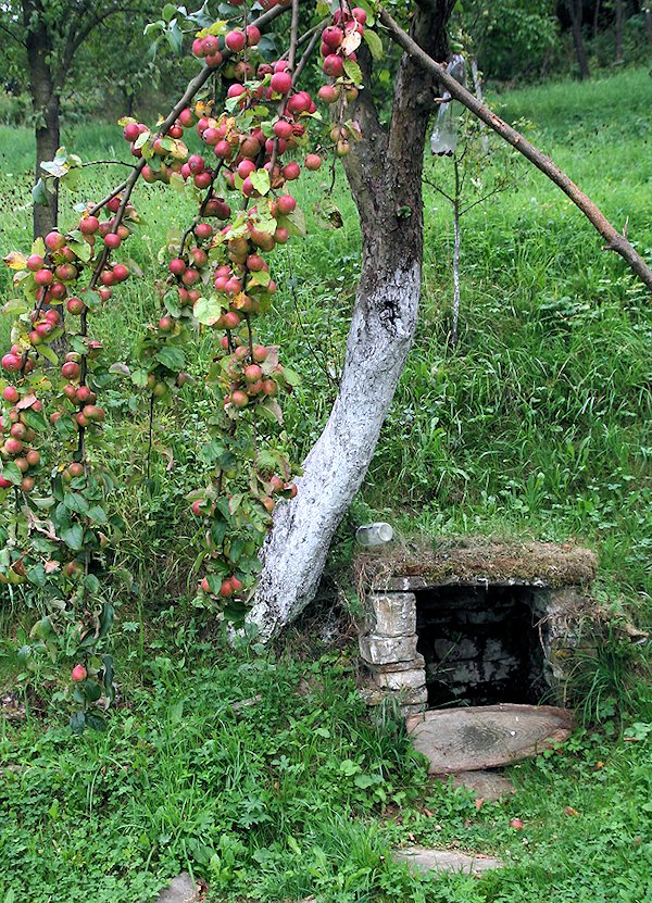 Jabloňová studánka (5996)